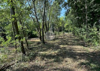 Terreno agricolo Via dei Caduti, Givoletto - foto 6