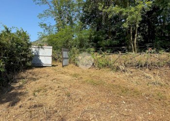 Terreno agricolo Via dei Caduti, Givoletto - foto 7