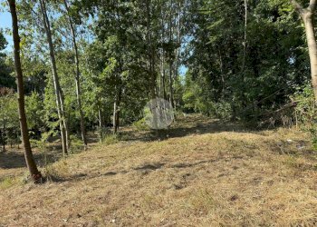 Terreno agricolo Via dei Caduti, Givoletto - foto 8