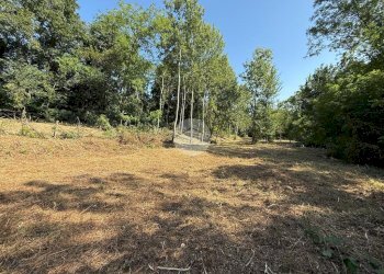 Terreno agricolo Via dei Caduti, Givoletto - foto 9