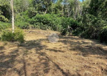 Terreno agricolo Via dei Caduti, Givoletto - foto 10