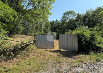 Terreno agricolo Via dei Caduti, Givoletto - foto 13