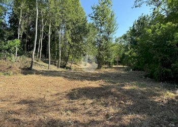 Terreno agricolo Via dei Caduti, Givoletto - foto 14