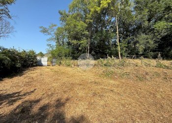 Terreno agricolo Via dei Caduti, Givoletto - foto 15