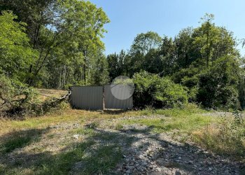 Terreno agricolo Via dei Caduti, Givoletto - foto 16