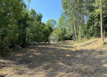 Terreno agricolo Via dei Caduti, Givoletto - foto 17