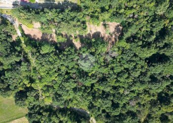 Terreno agricolo Via dei Caduti, Givoletto - foto 21
