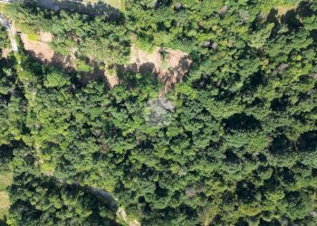 Terreno agricolo Via dei Caduti, Givoletto - foto 22