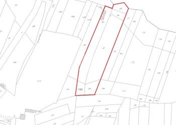 Terreno agricolo Via dei Caduti, Givoletto - foto 23