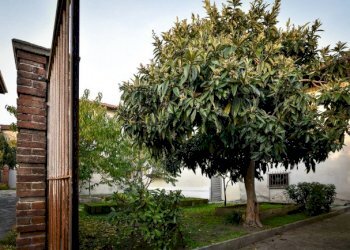 Appartamento Caselle Torinese - foto 34