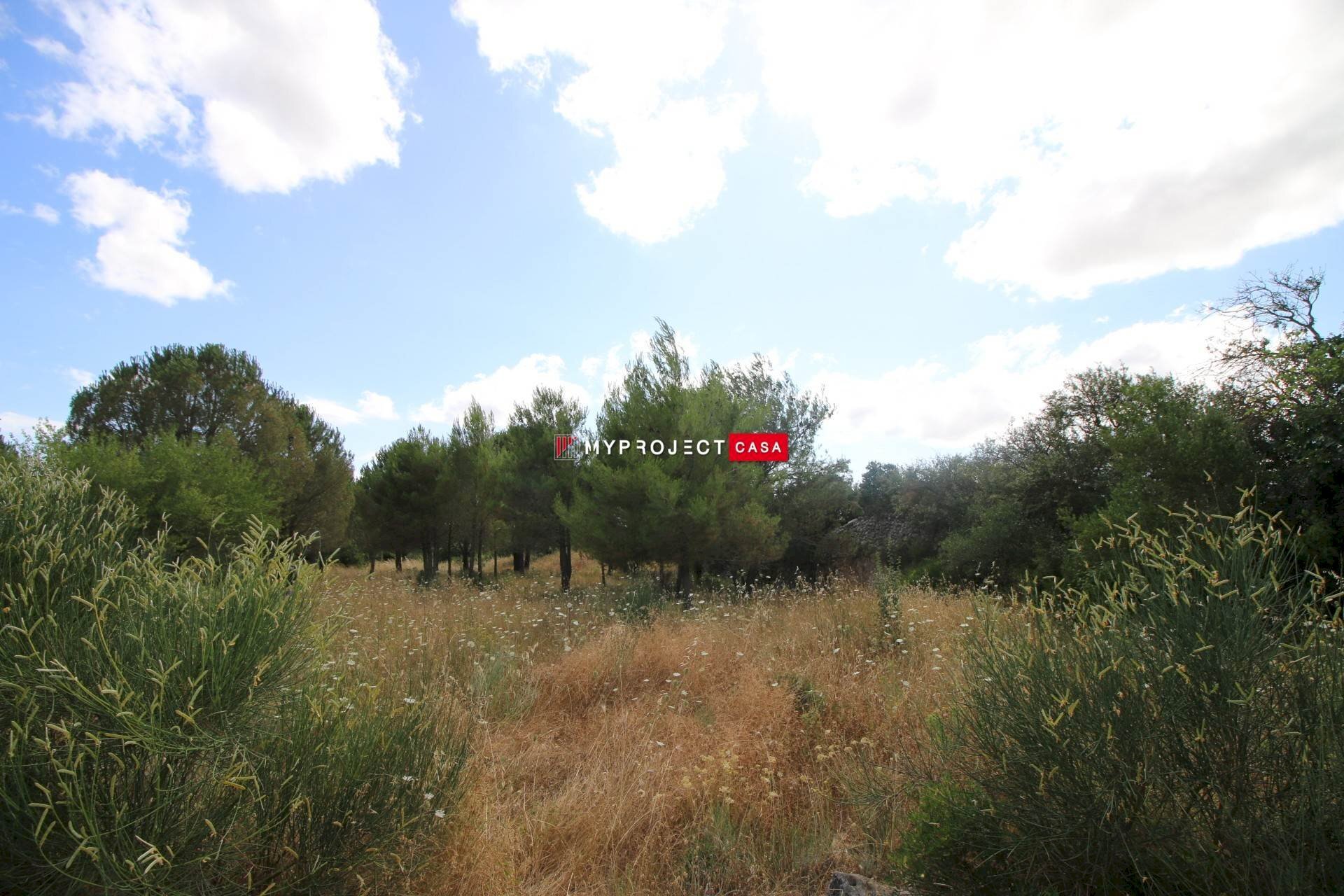 Building land Strada Paretone, Martina Franca - photo 3