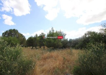 Terreno edificabile Strada Paretone, Martina Franca - foto 3