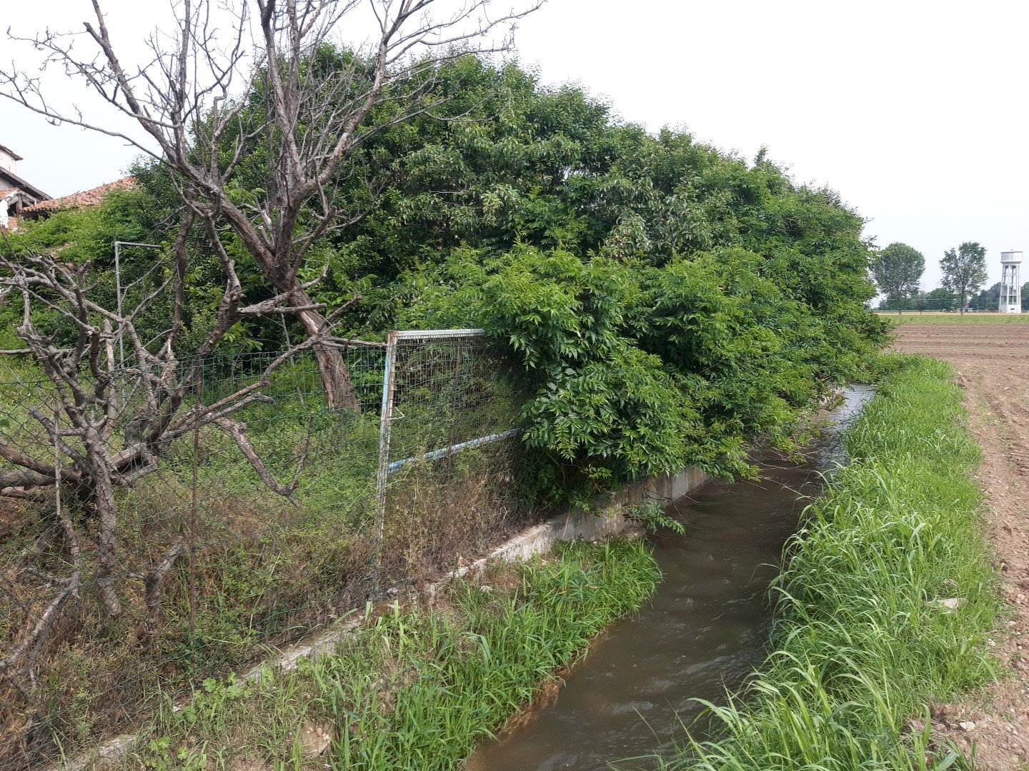 Rustic Via Cuneo, Morozzo - photo 3