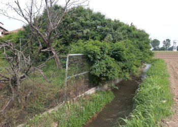 Rustic Via Cuneo, Morozzo - photo 3