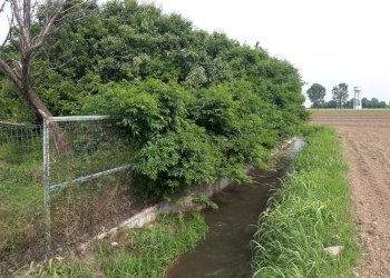 Rustic Via Cuneo, Morozzo - photo 5