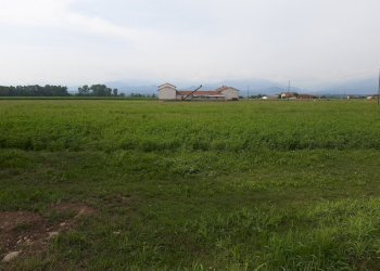 Rustic Via Cuneo, Morozzo - photo 6