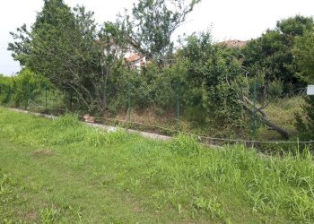 Rustic Via Cuneo, Morozzo - photo 7