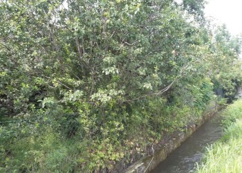 Rustic Via Cuneo, Morozzo - photo 12