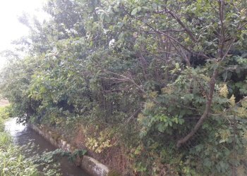 Rustic Via Cuneo, Morozzo - photo 14