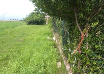 Rustic Via Cuneo, Morozzo - photo 16