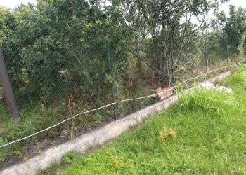 Rustic Via Cuneo, Morozzo - photo 21