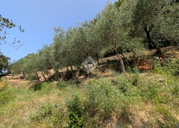 Trilocale Villa Montedomenico, Sestri Levante - foto 36