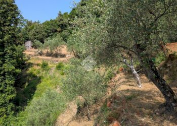 Trilocale Villa Montedomenico, Sestri Levante - foto 37