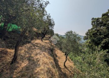 Trilocale Villa Montedomenico, Sestri Levante - foto 38