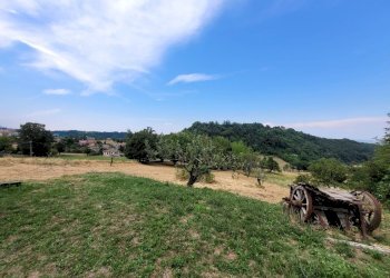 Terreno agricolo Gropparello - foto 5