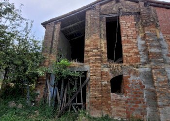 Terreno agricolo Gropparello - foto 7