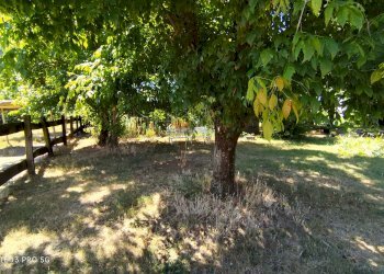 Azienda agricola Località Quarto Superiore, 87, Asti - foto 28