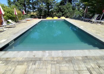 Azienda agricola Località Quarto Superiore, 87, Asti - foto 20