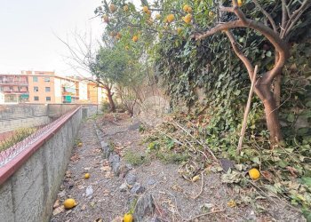 Appartamento Via Timavo, Genova (zona Sturla) - foto 7