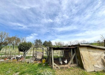 Foto 35 - Villa Alessandria - foto 35