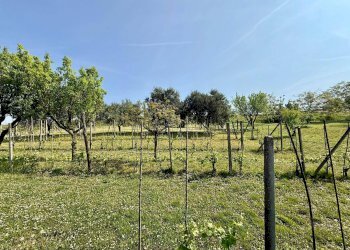 Foto 42 - Villa Alessandria - foto 41