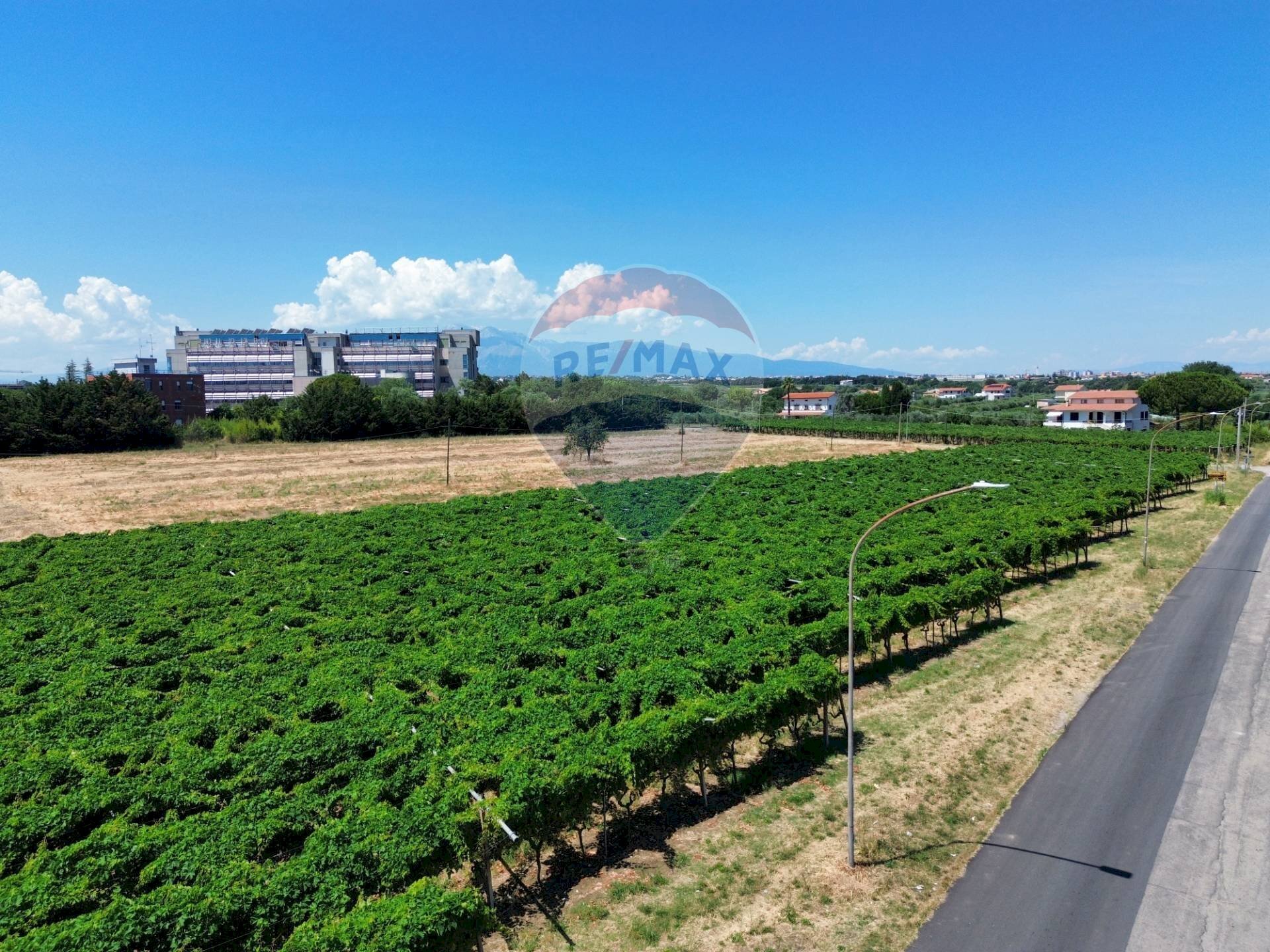 Giardino - Terreno edificabile Via Colle Minazzo, Santa Maria Imbaro - foto 2