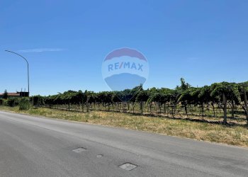 Non correlato - Terreno edificabile Via Colle Minazzo, Santa Maria Imbaro - foto 4