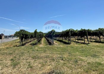 Giardino - Terreno edificabile Via Colle Minazzo, Santa Maria Imbaro - foto 6