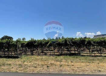 Giardino - Terreno edificabile Via Colle Minazzo, Santa Maria Imbaro - foto 8