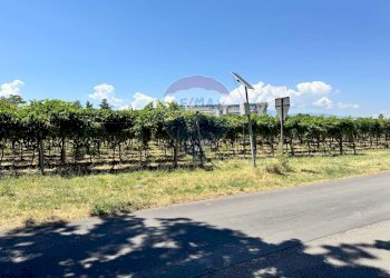 Giardino - Terreno edificabile Via Colle Minazzo, Santa Maria Imbaro - foto 11