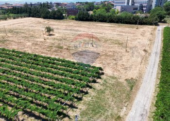Giardino - Terreno edificabile Via Colle Minazzo, Santa Maria Imbaro - foto 21