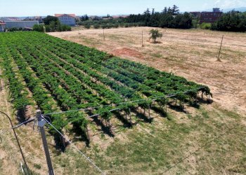 Giardino - Terreno edificabile Via Colle Minazzo, Santa Maria Imbaro - foto 23