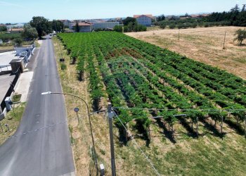 Giardino - Terreno edificabile Via Colle Minazzo, Santa Maria Imbaro - foto 24