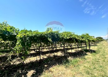 Giardino - Terreno edificabile Via Colle Minazzo, Santa Maria Imbaro - foto 36