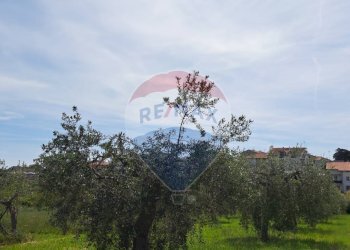 Foto 8 - Terreno edificabile Via Goffredo Mameli, Lanciano - foto 8