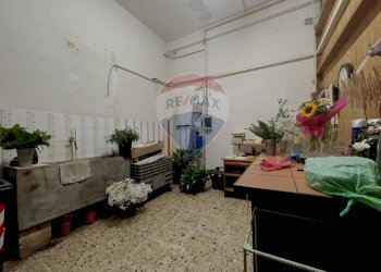 Terrazza - Locale Commerciale Viale Cappuccini
 
96, Lanciano - foto 10