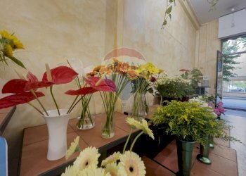 Dettagli - Locale Commerciale Viale Cappuccini
 
96, Lanciano - foto 17