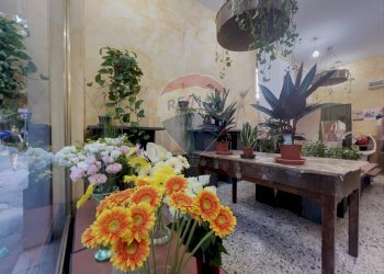 Terrazza - Locale Commerciale Viale Cappuccini
 
96, Lanciano - foto 19