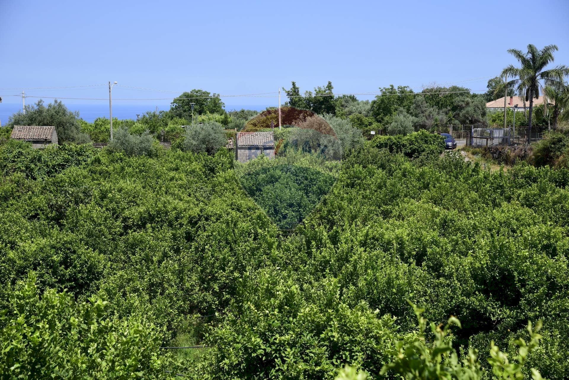 Giardino - Terreno agricolo Via Carico
 
183, Acireale - foto 2