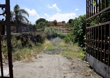 Giardino - Terreno agricolo Via Carico
 
183, Acireale - foto 4